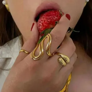 Design Sense Minority Simple 18K Gold Stainless Steel Double Layer Snake Shape Ring for Women