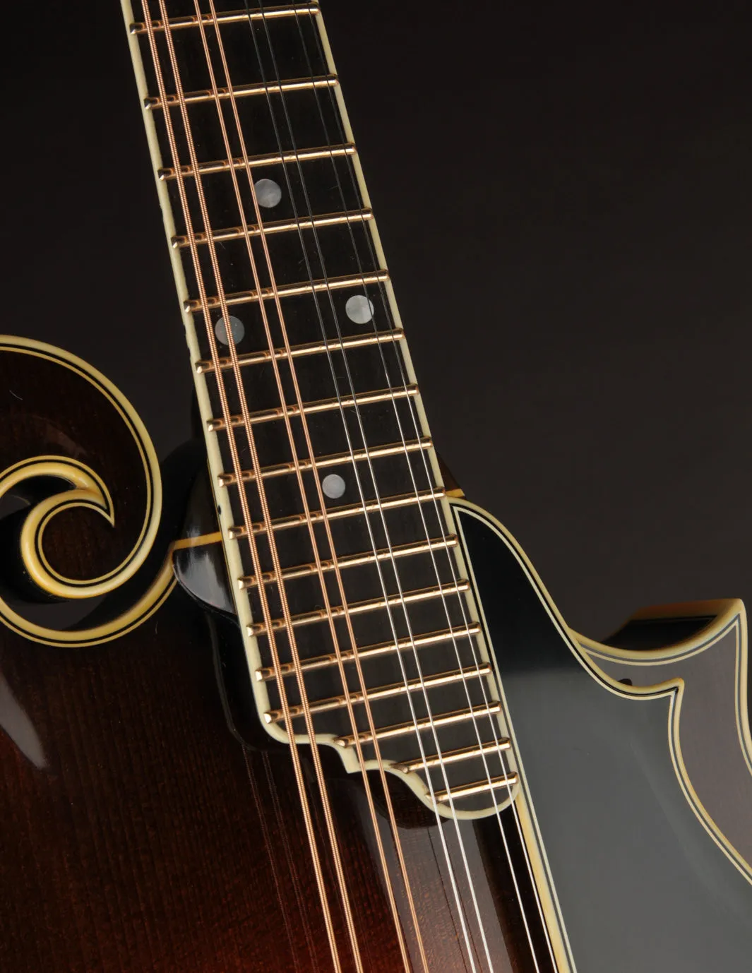 Ellis F5 Special w/ Calton Case