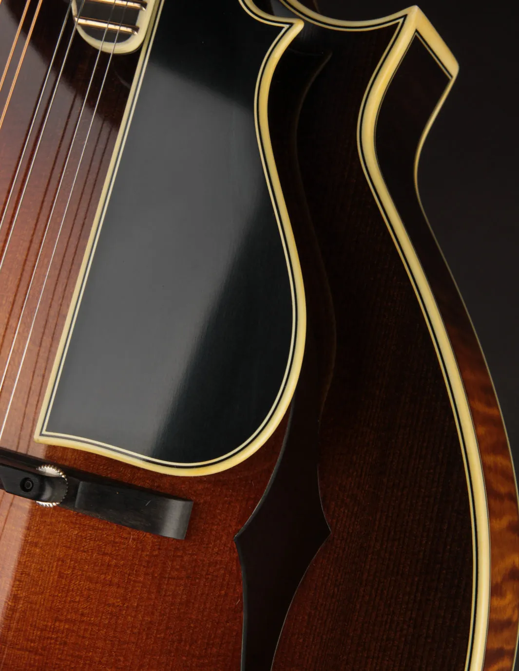 Ellis F5 Special w/ Calton Case