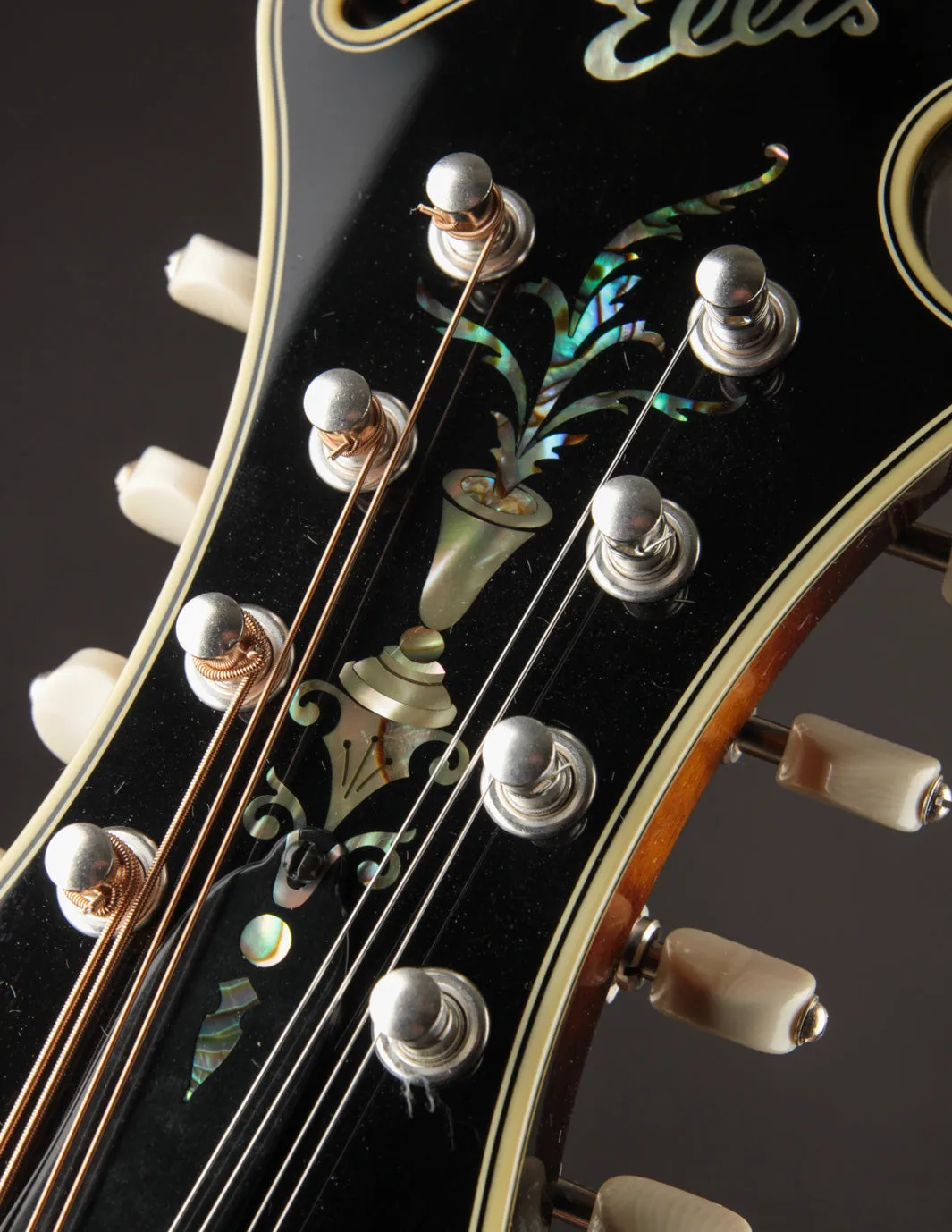 Ellis F5 Special w/ Calton Case