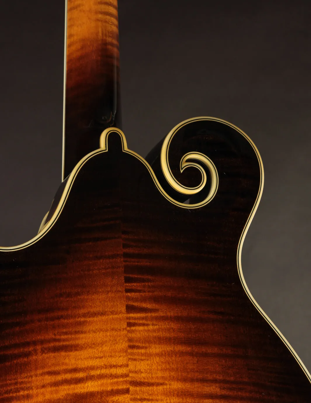 Ellis F5 Special w/ Calton Case