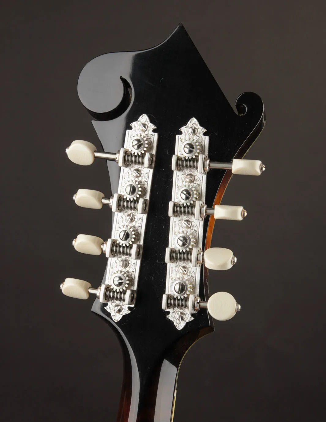Ellis F5 Special w/ Calton Case