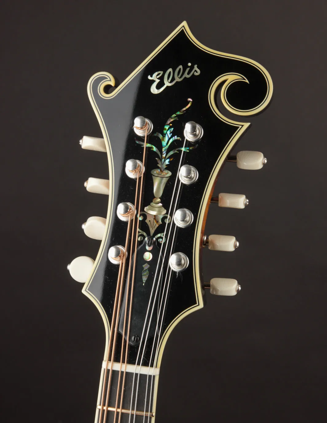 Ellis F5 Special w/ Calton Case
