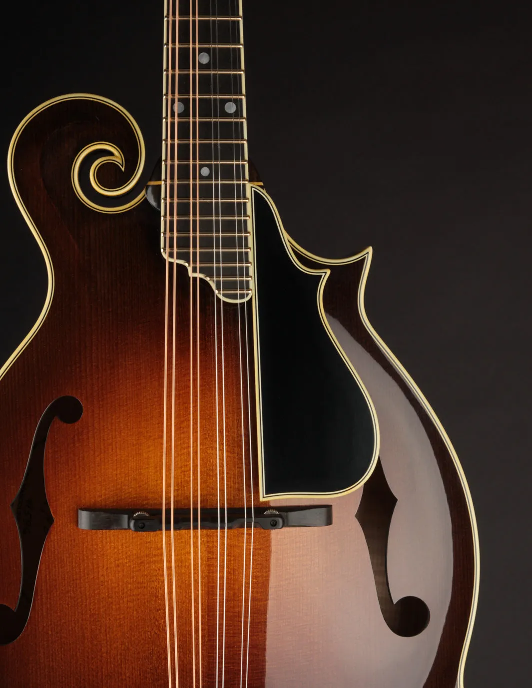 Ellis F5 Special w/ Calton Case