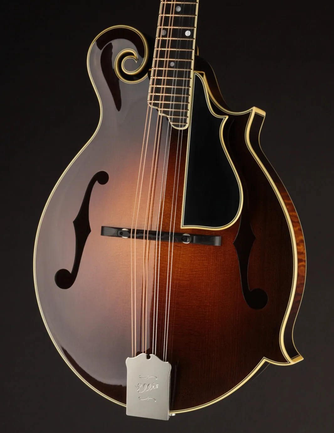 Ellis F5 Special w/ Calton Case