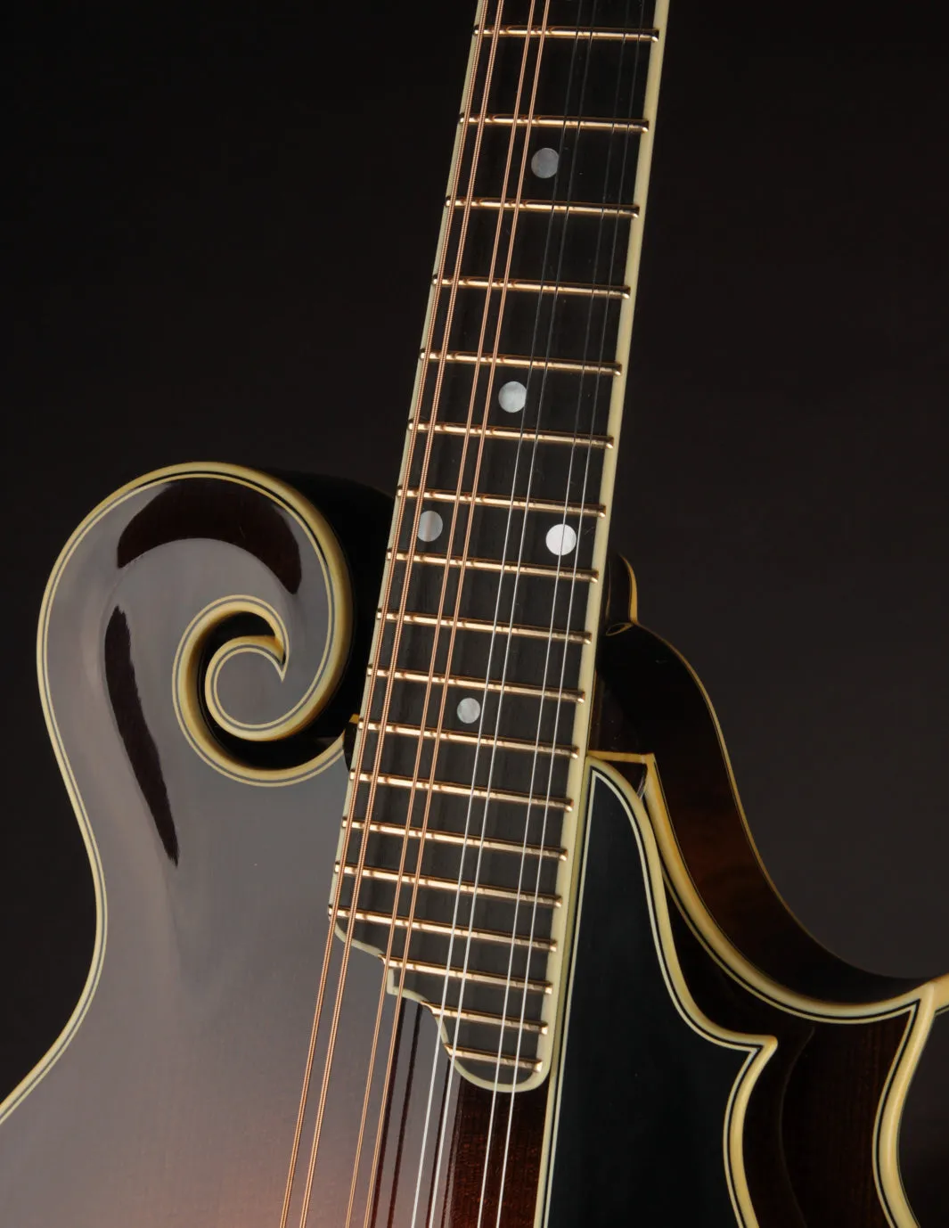 Ellis F5 Special w/ Calton Case