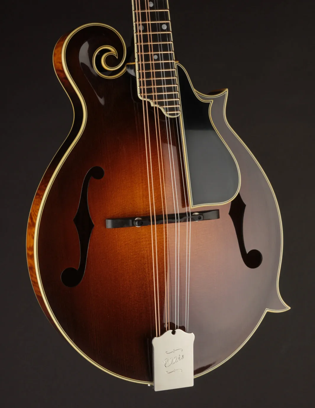 Ellis F5 Special w/ Calton Case