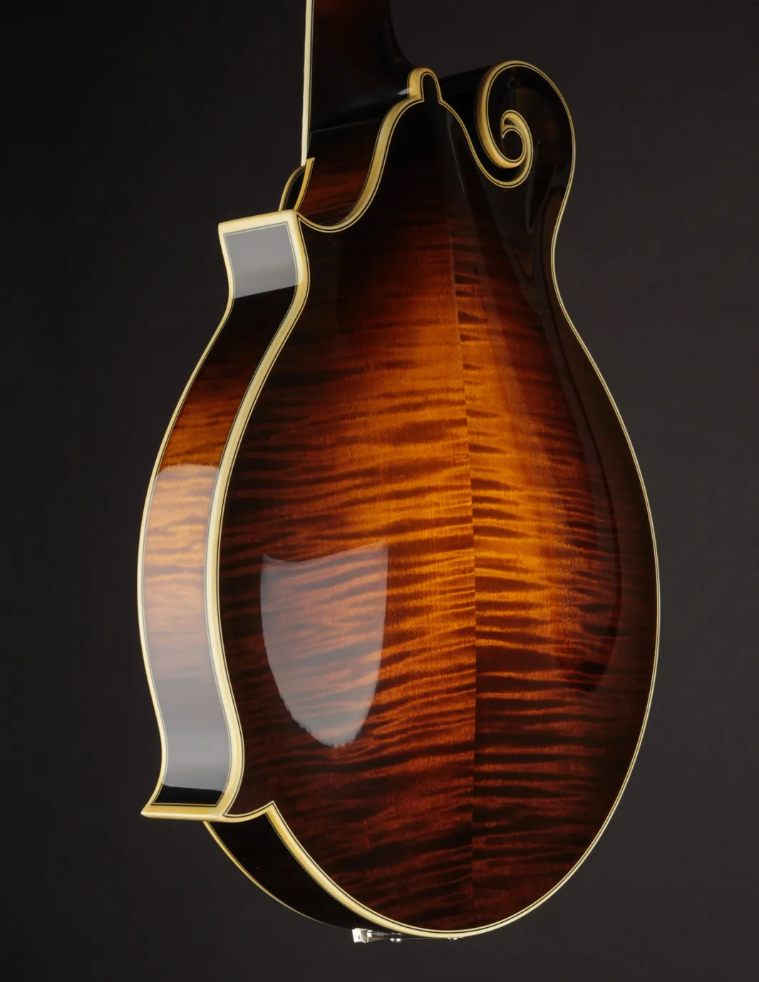 Ellis F5 Special w/ Calton Case