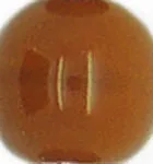 Mother of Pearl Shell Alphabet Letter Charm Czech Glass Bead Necklace