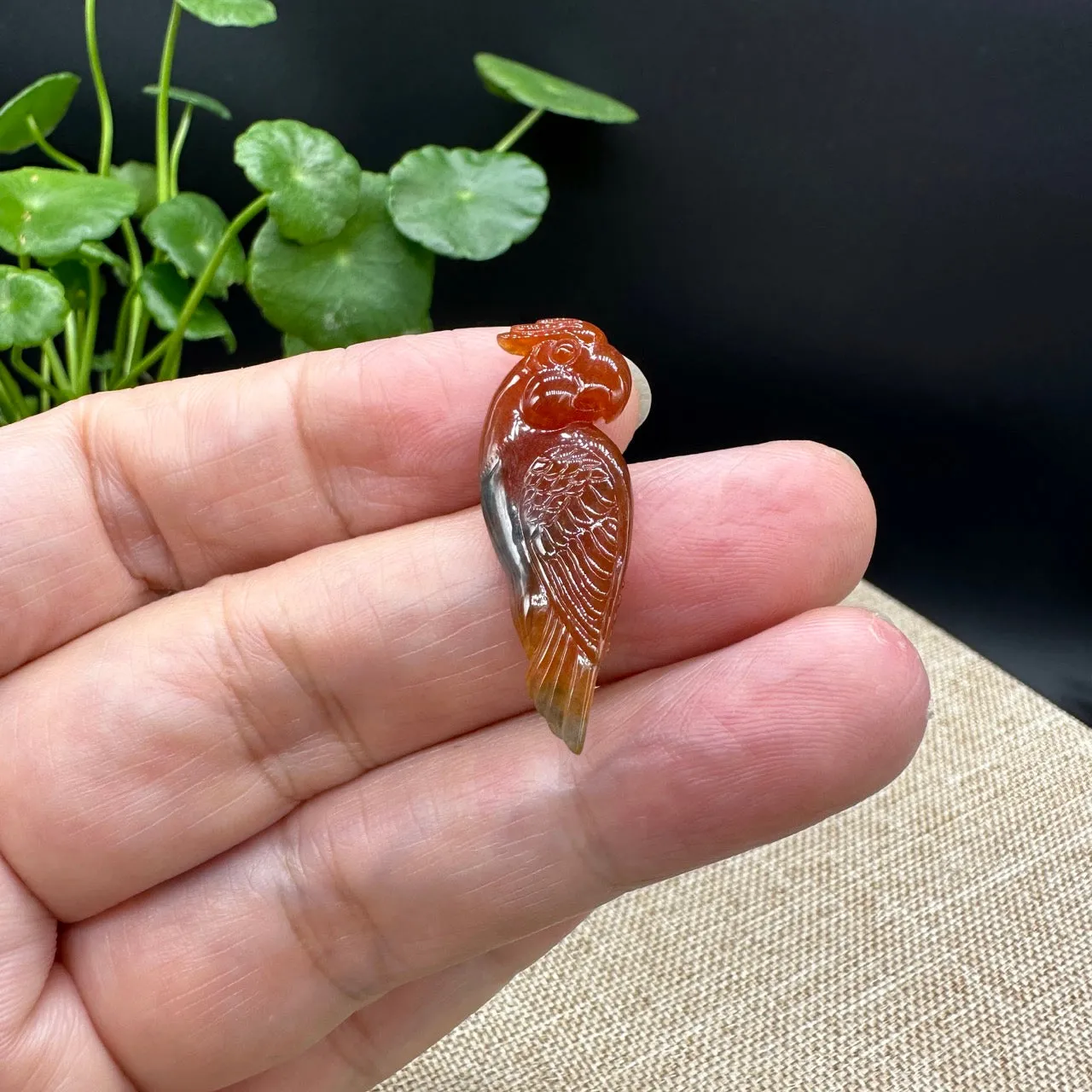 RealJade® "Lovely Parrot"  Genuine Burmese Red Jadeite Lucky Pendant Necklace