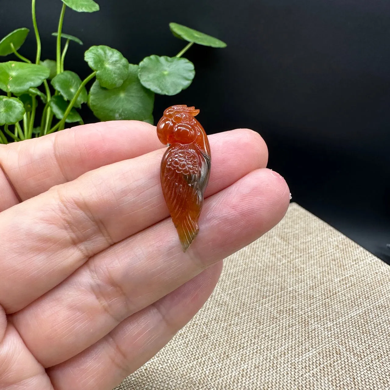 RealJade® "Lovely Parrot"  Genuine Burmese Red Jadeite Lucky Pendant Necklace