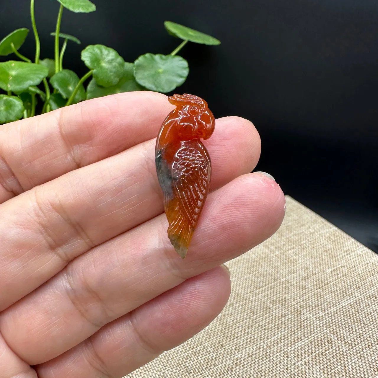 RealJade® "Lovely Parrot"  Genuine Burmese Red Jadeite Lucky Pendant Necklace