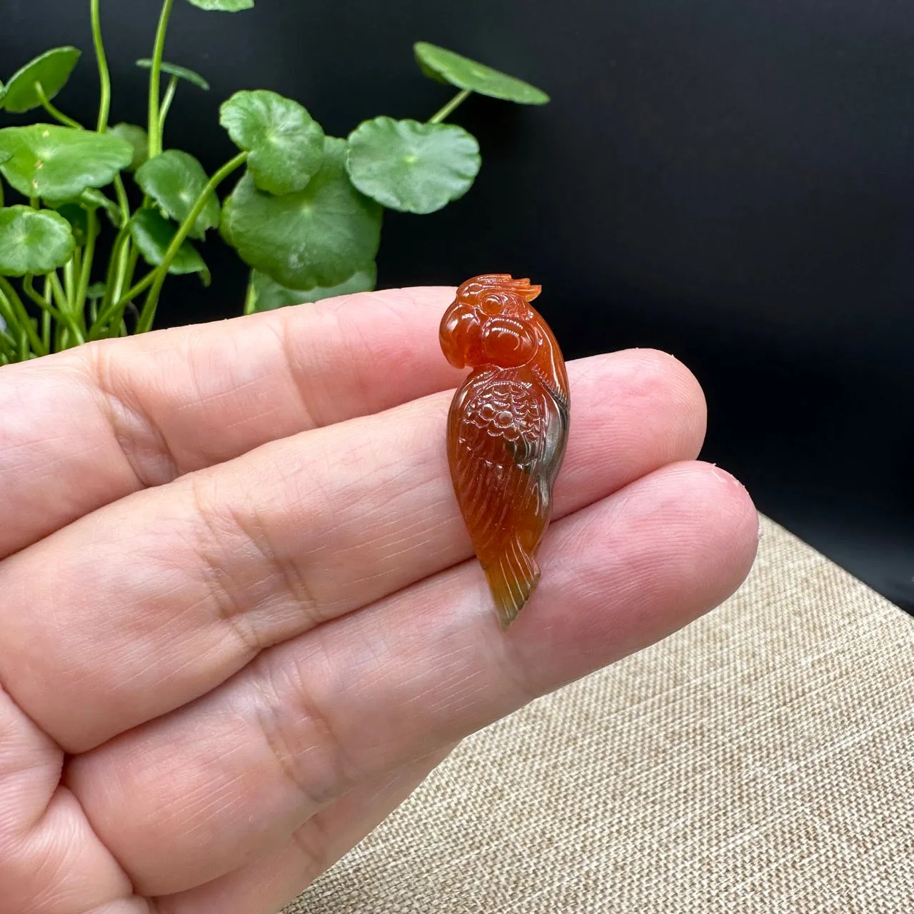 RealJade® "Lovely Parrot"  Genuine Burmese Red Jadeite Lucky Pendant Necklace