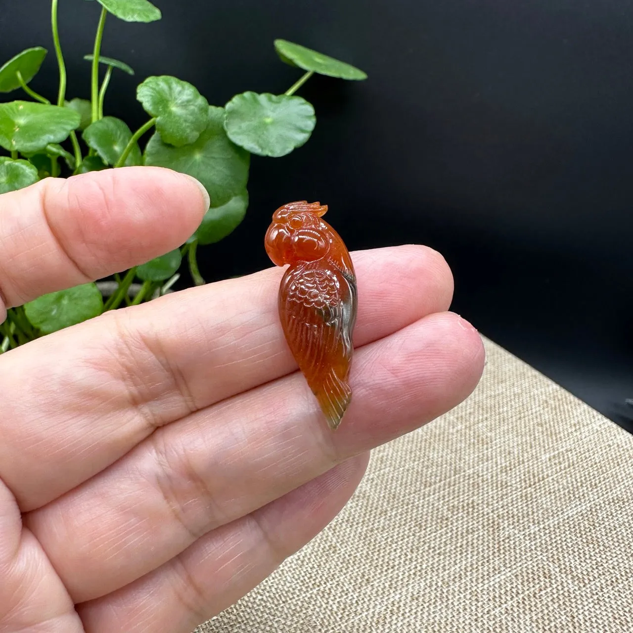 RealJade® "Lovely Parrot"  Genuine Burmese Red Jadeite Lucky Pendant Necklace